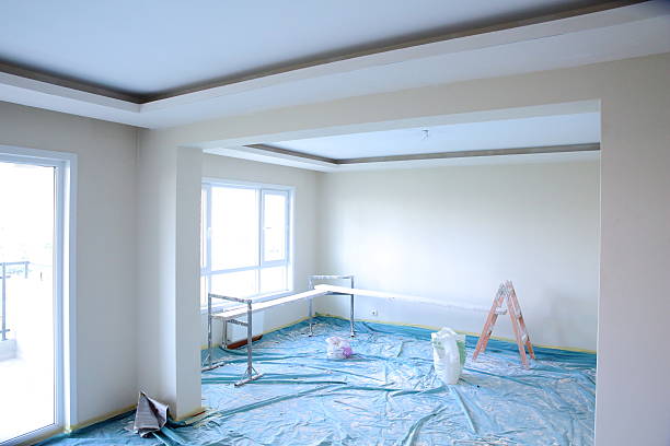 Best Drywall Crack Repair  in Royalton, IL